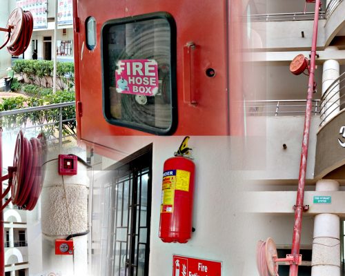 IMG_20250726_174757 (1)